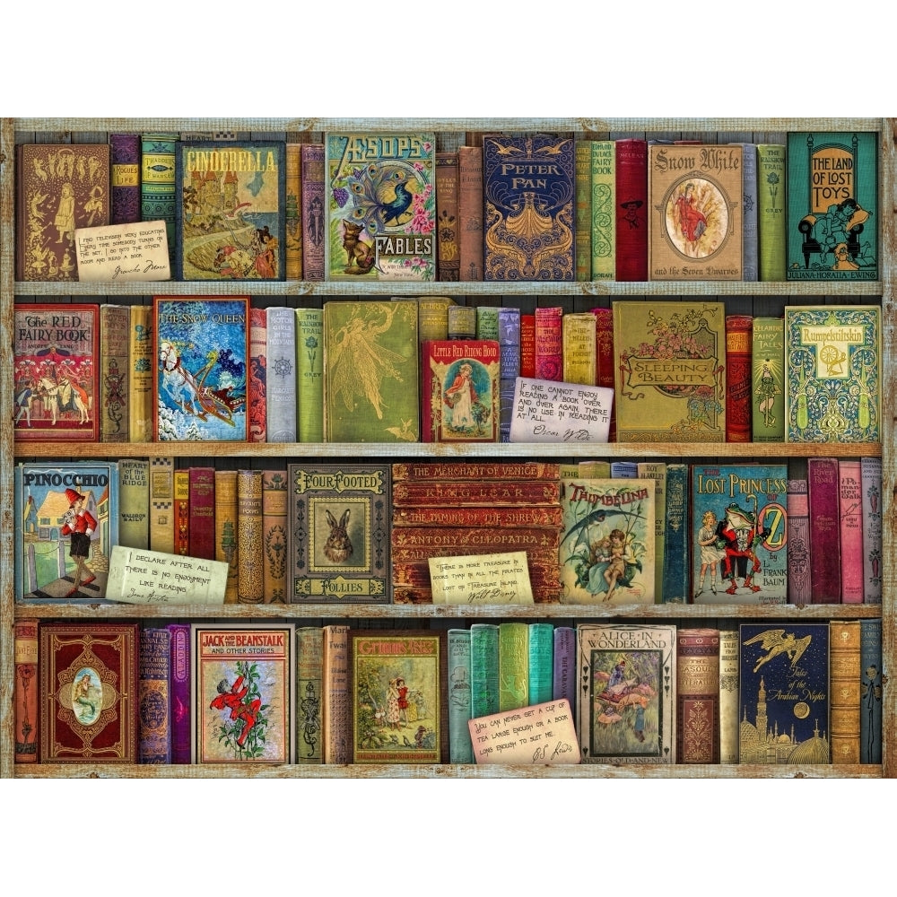 Bountiful Book Shelf Poster Print by Aimee Stewart Image 2