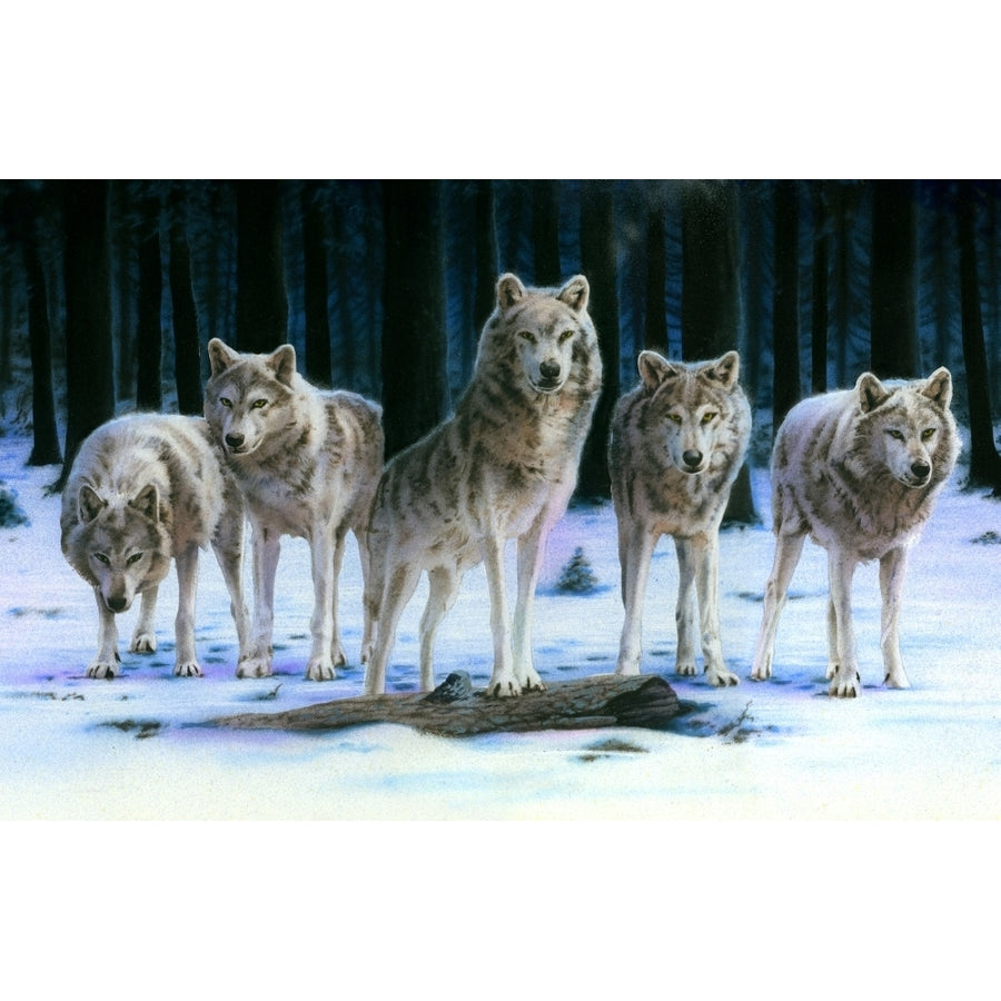 Wolf Detail Poster Print by Robin Koni Image 1