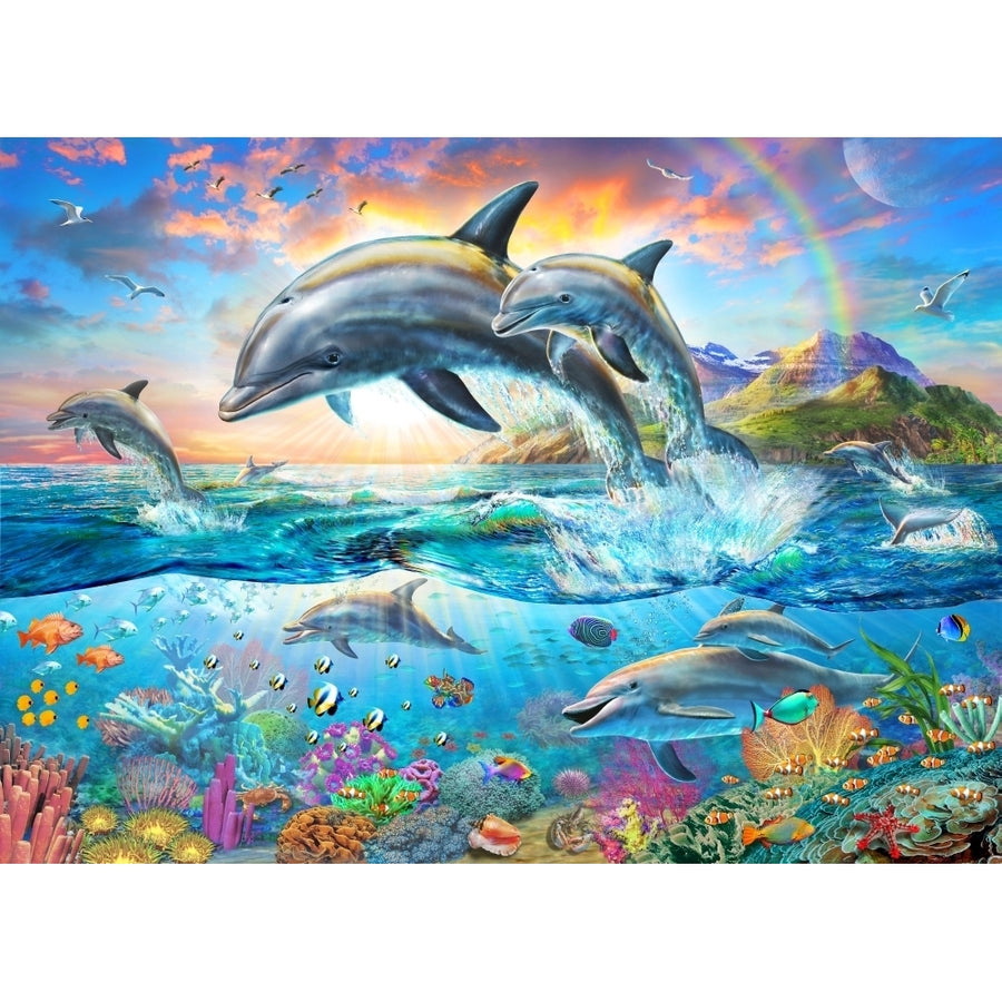 Dolphin Family Poster Print by Adrian Chesterman Image 1