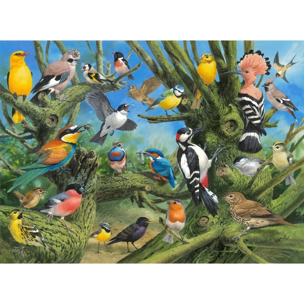 Birds Poster Print by John Francis Image 1