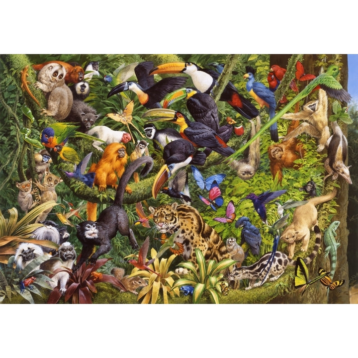 Tropical Rainforest Poster Print by John Francis Image 1