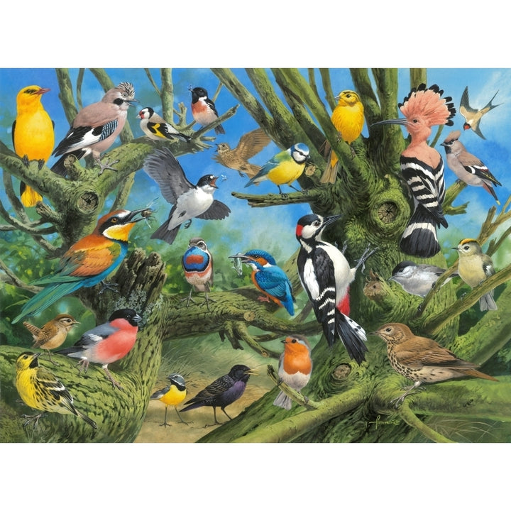 Birds Poster Print by John Francis Image 2