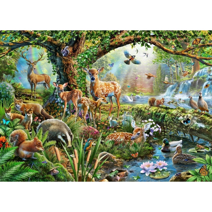 Woodland Creatures Poster Print by Adrian Chesterman Image 1