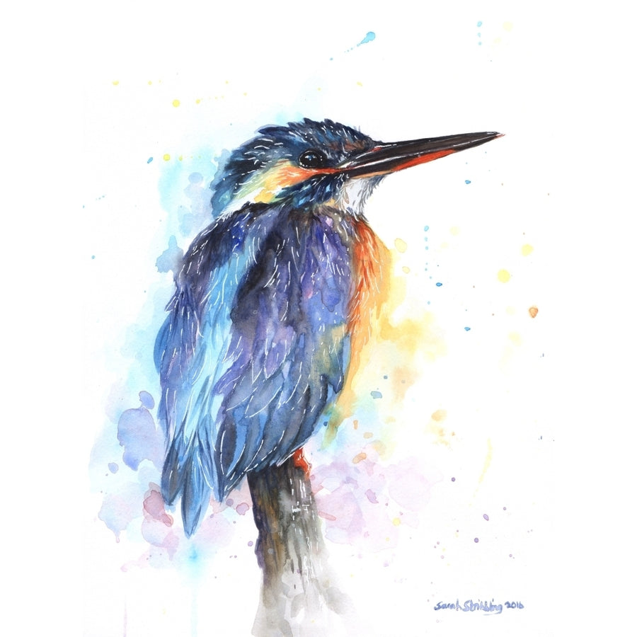 King Fisher Watercolor Poster Print by Sarah Stribbling Image 1