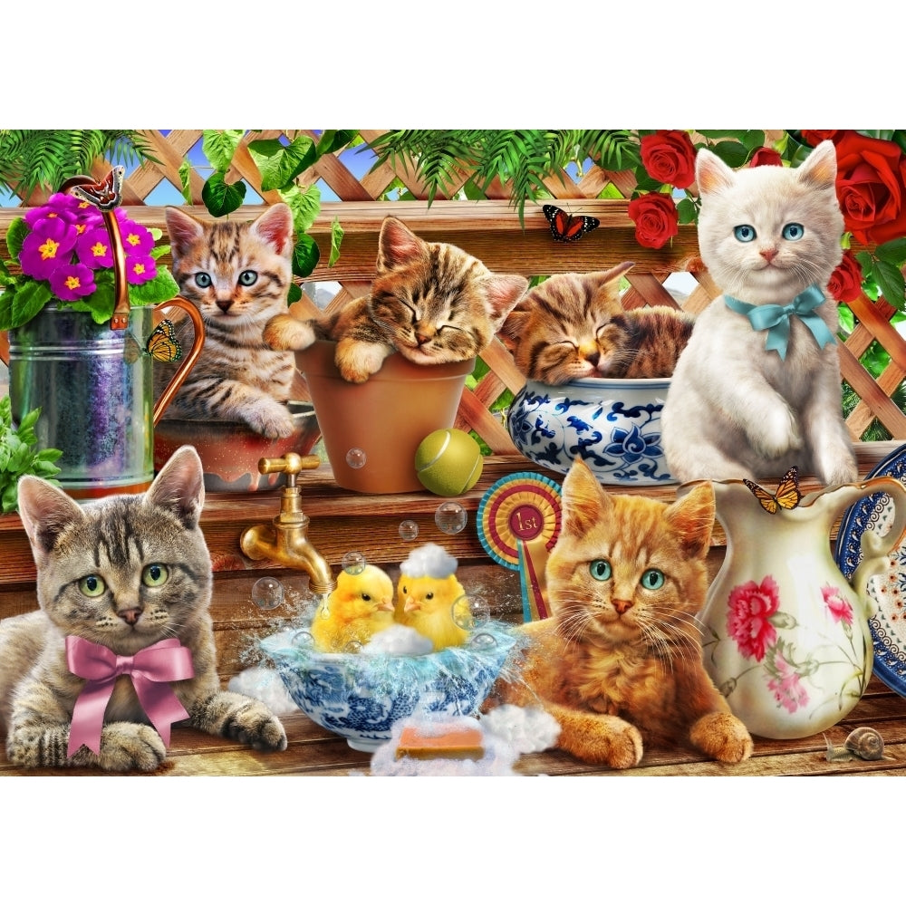 Kittens in the Potting Shed Poster Print by Adrian Chesterman Image 2