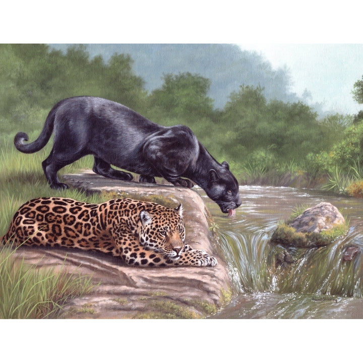 Black Panther and Jaguar Poster Print by Rachel Stribbling Image 1