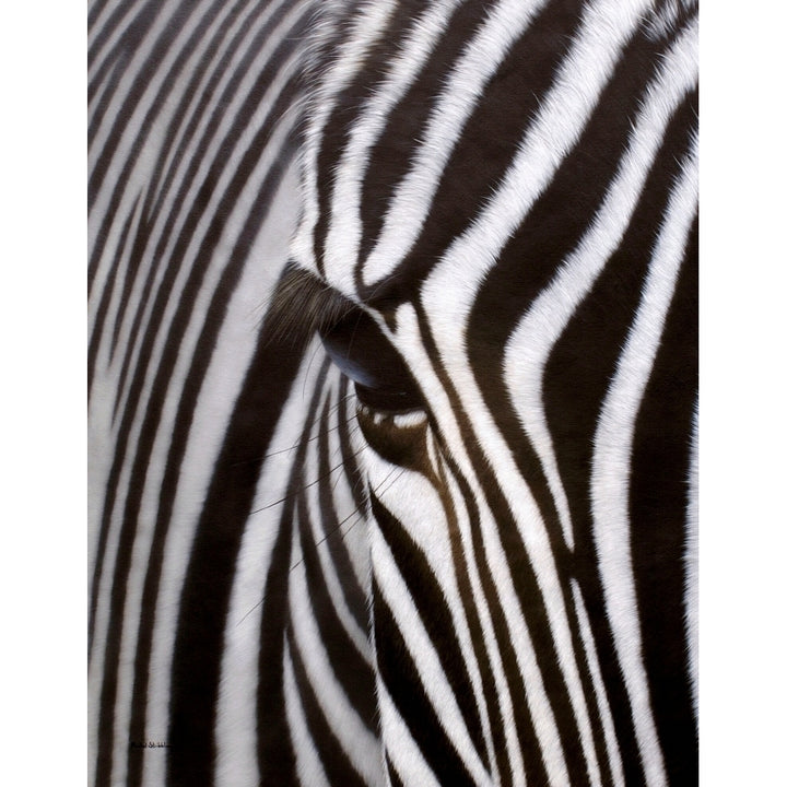 Zebra Eye Poster Print by Rachel Stribbling Image 1