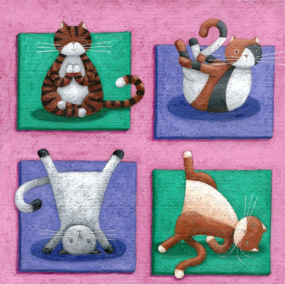 Yoga For Cats Poster Print by Peter Adderley Image 2