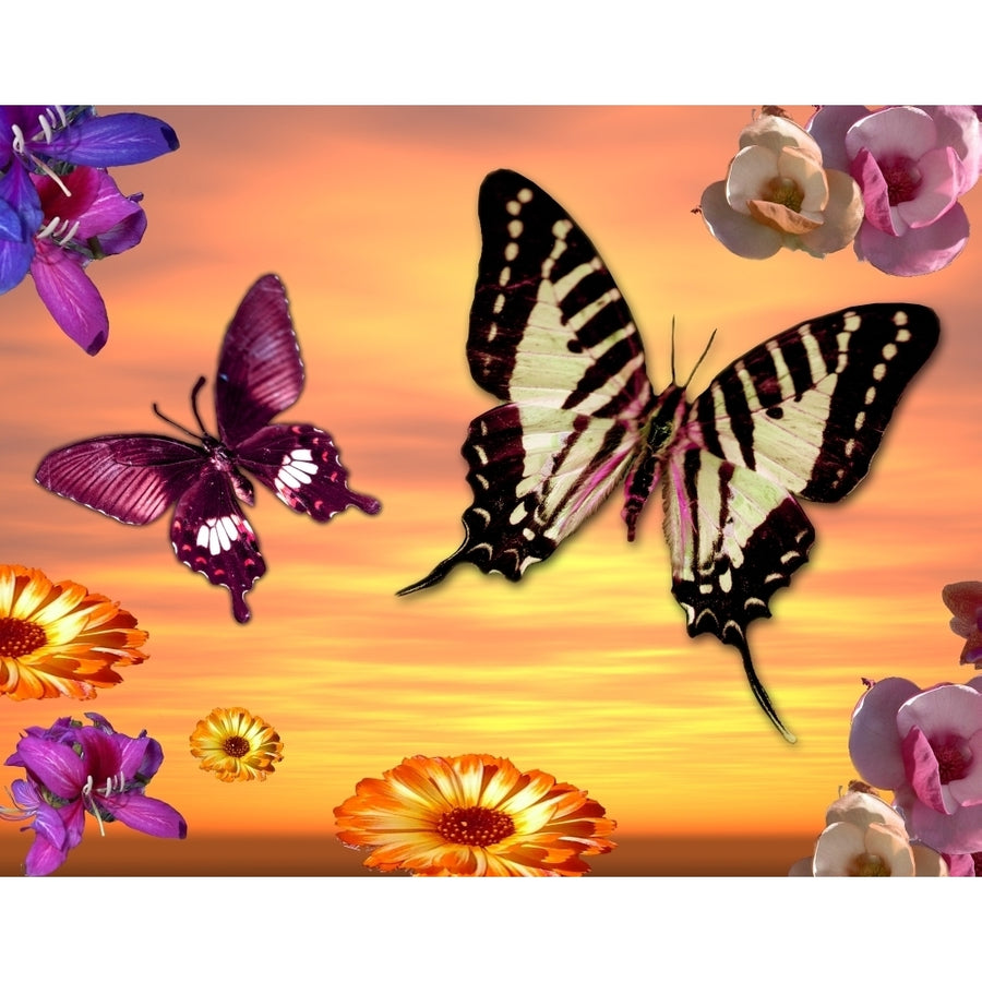 Butterfly Sunset Poster Print by Alixandra Mullins Image 1