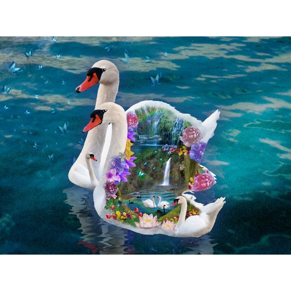 Swan Paradise Poster Print by Alixandra Mullins Image 1