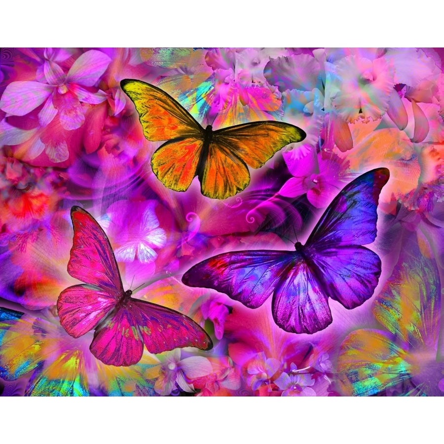 Rainbow Orchid Morpheus Poster Print by Alixandra Mullins Image 1