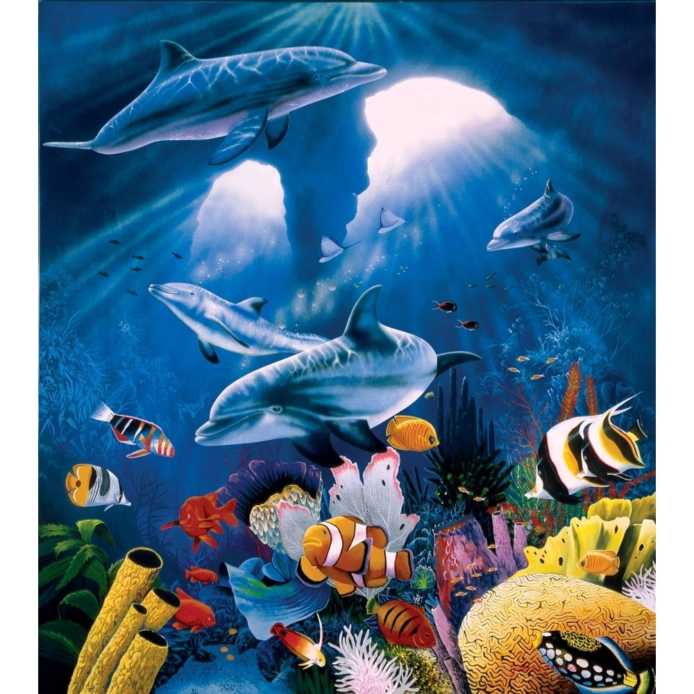 Dolphin paradise Poster Print by Graeme Stevenson Image 2