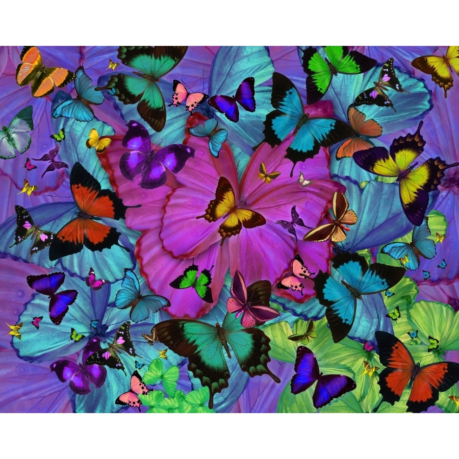 Butterfly Explosion Radial Pink Poster Print by Alixandra Mullins Image 1