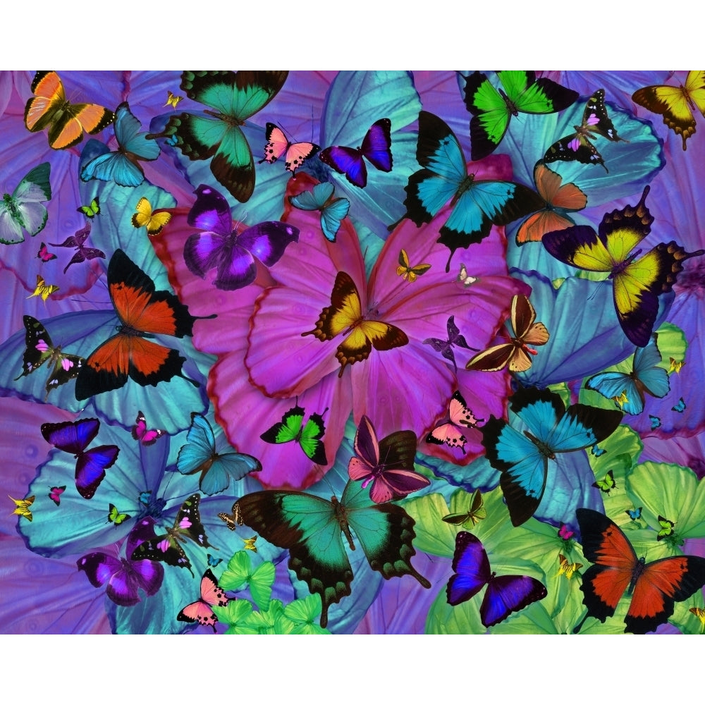 Butterfly Explosion Radial Pink Poster Print by Alixandra Mullins Image 2