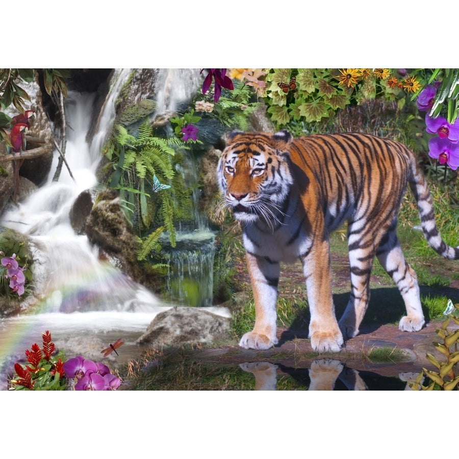 Tiger Nature Poster Print by Alixandra Mullins Image 1