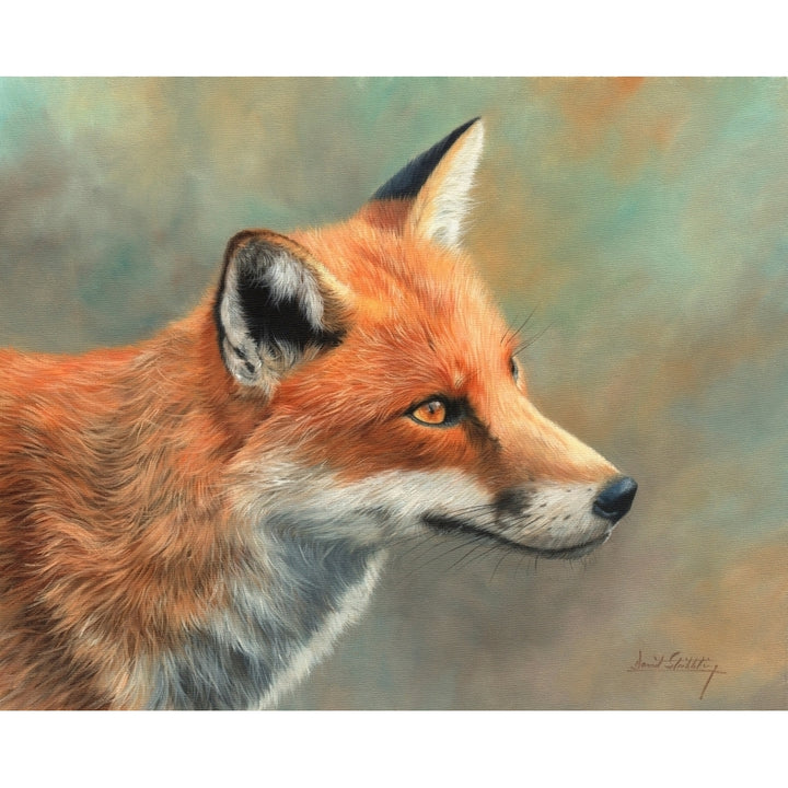 Fox Close Up Poster Print by David Stribbling Image 1