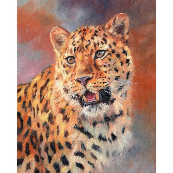 Leopard Roaring Poster Print by David Stribbling Image 1