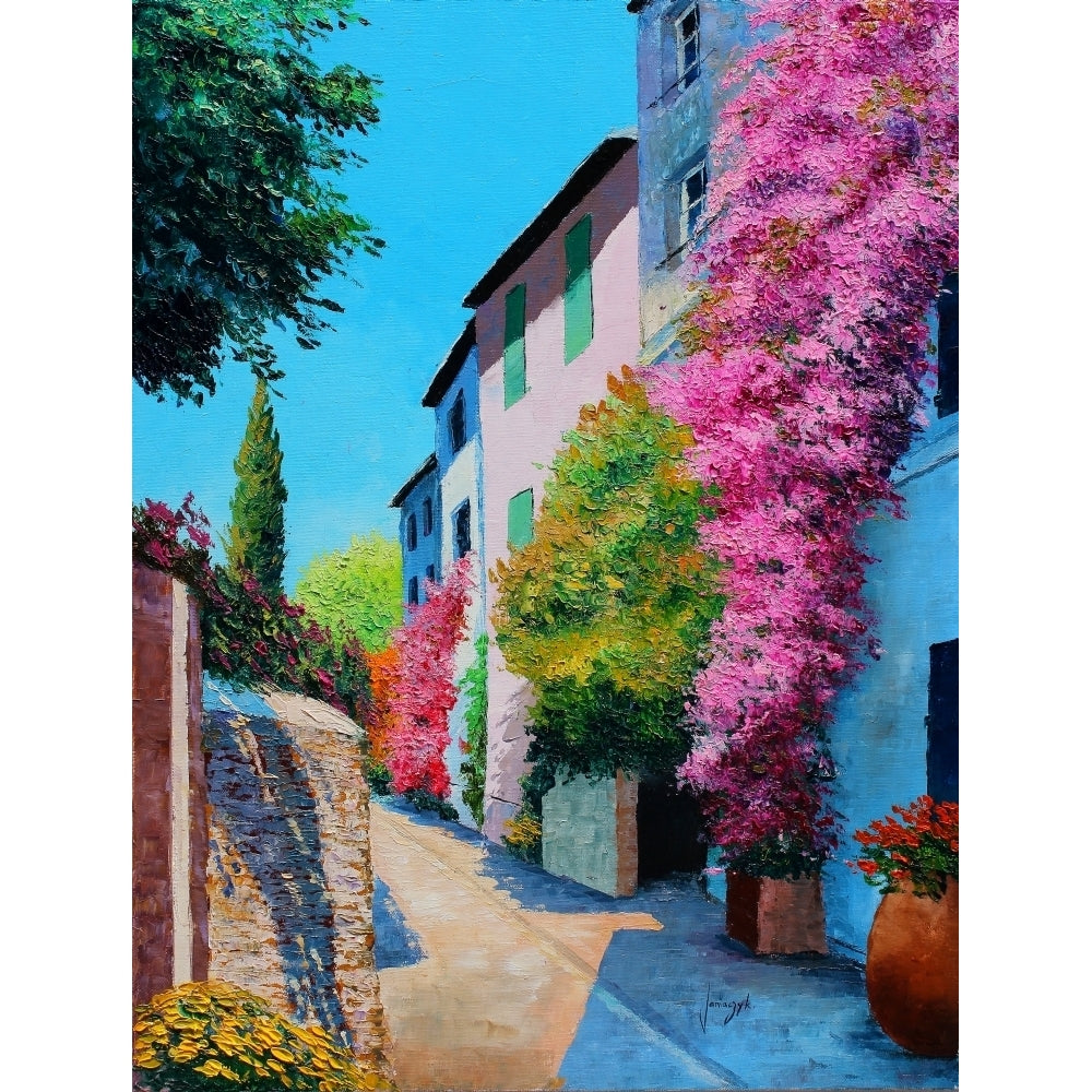 Bougainvillea in Grimaud Poster Print by Jean-Marc Janiaczyk Image 1