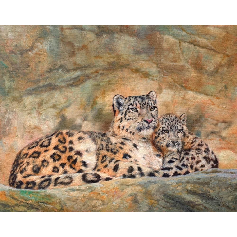 Snow Leopard Mother and Cub Poster Print by David Stribbling Image 2