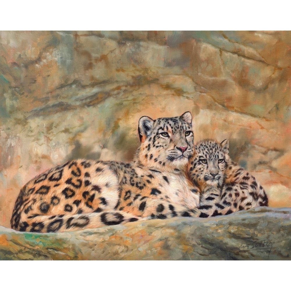 Snow Leopard Mother and Cub Poster Print by David Stribbling Image 1