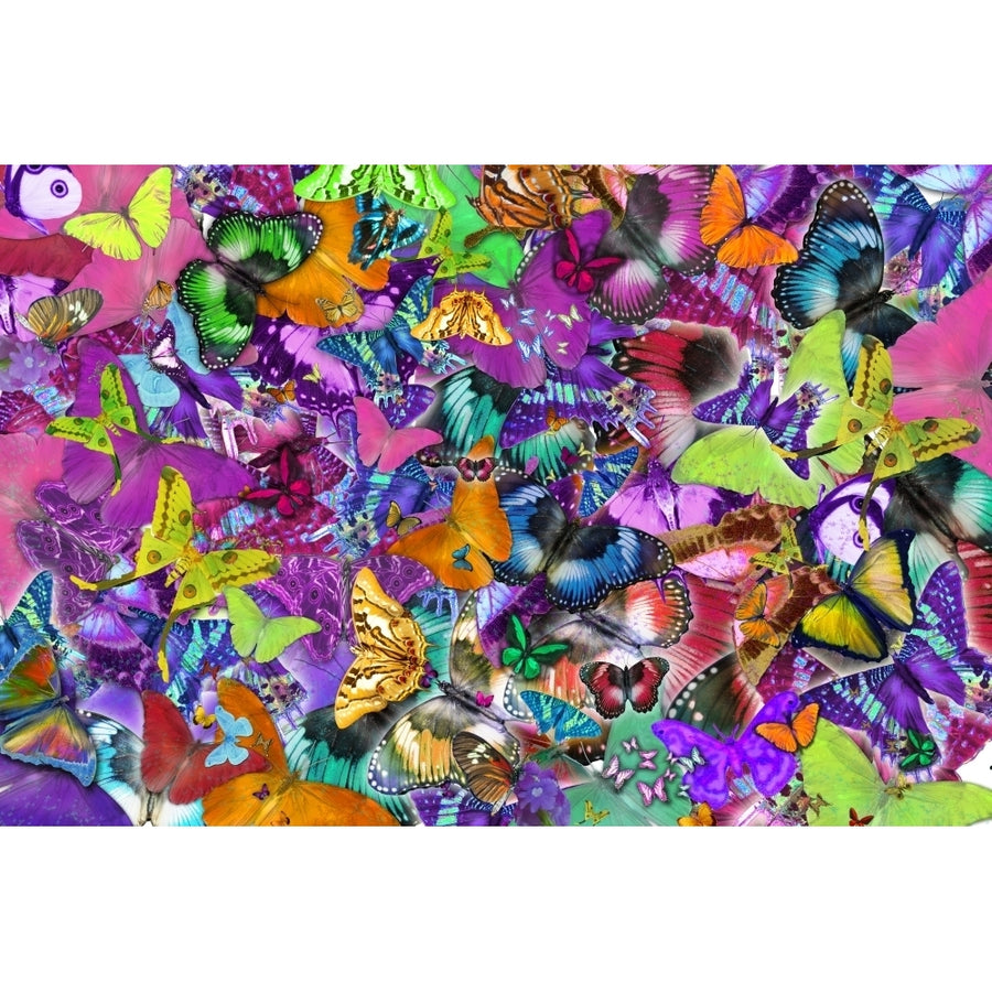 Super Rainbow Butterflies Poster Print by Alixandra Mullins Image 1