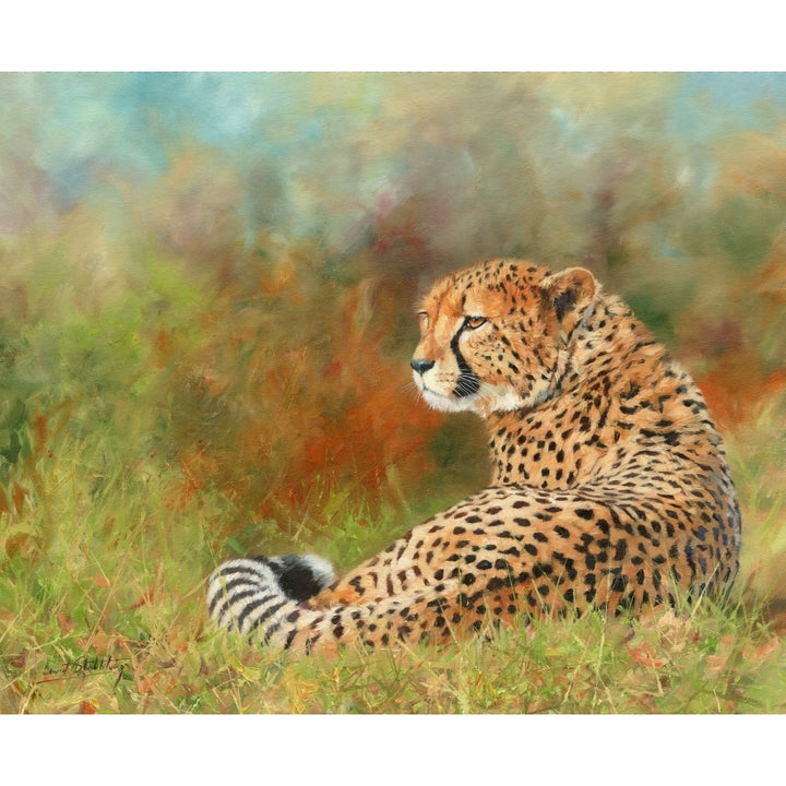 Cheetah. oil on canvas Poster Print by David Stribbling Image 2