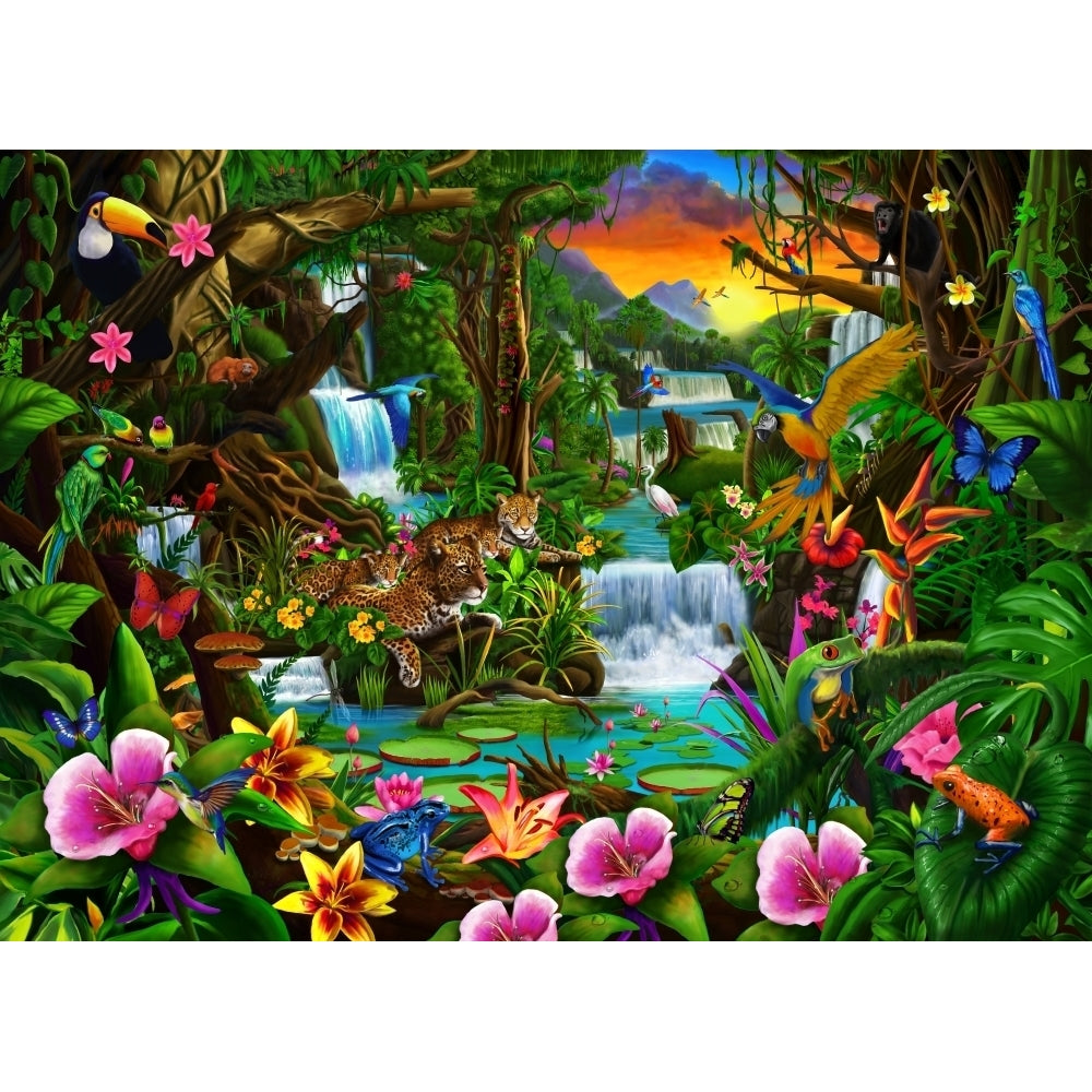 Beautiful Rainforest Poster Print by Gerald Newton Image 1