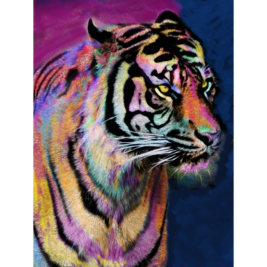 Rainbow Tiger Poster Print by Alixandra Mullins Image 1