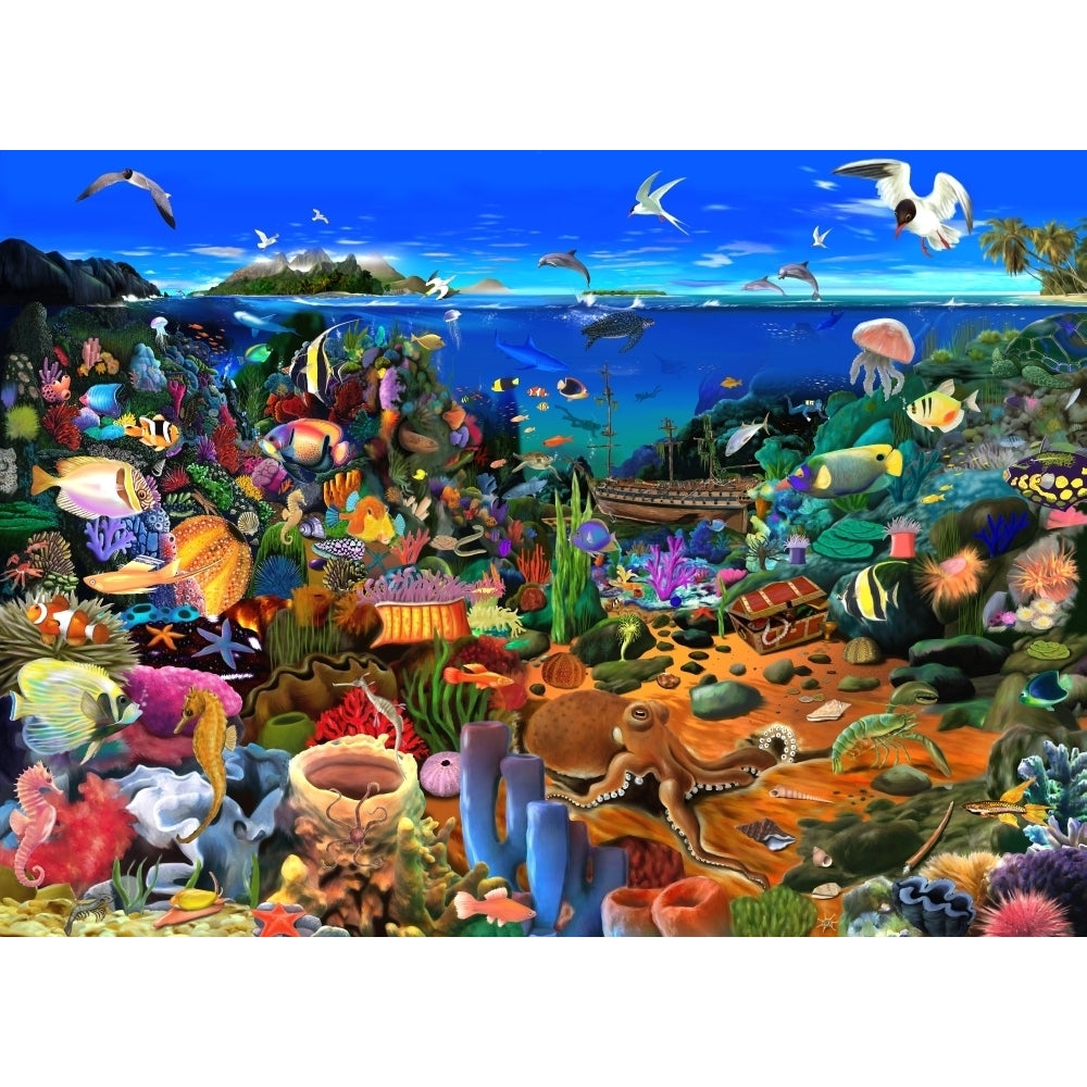 Amazing Coral Reef Poster Print by Gerald Newton Image 2