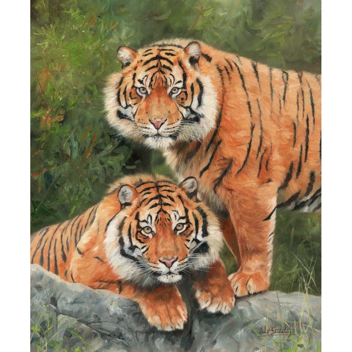 Pair of Sumatran Tigers. Oil on canvas Poster Print by David Stribbling Image 1