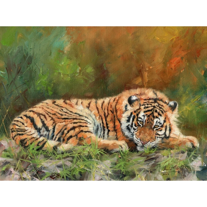 Amur Tiger Poster Print by David Stribbling Image 1