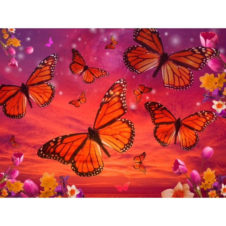 Red Monarch Sunrise Poster Print by Alixandra Mullins Image 1