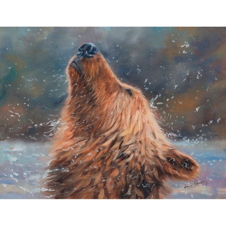 Brown Grizzly Bear Poster Print by David Stribbling Image 2