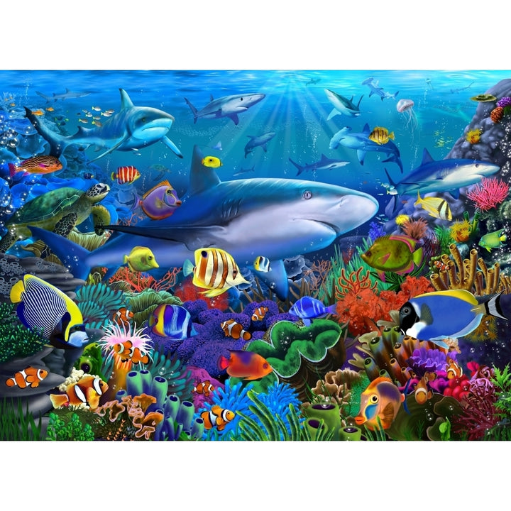 Shark Reef Poster Print by Gerald Newton Image 2