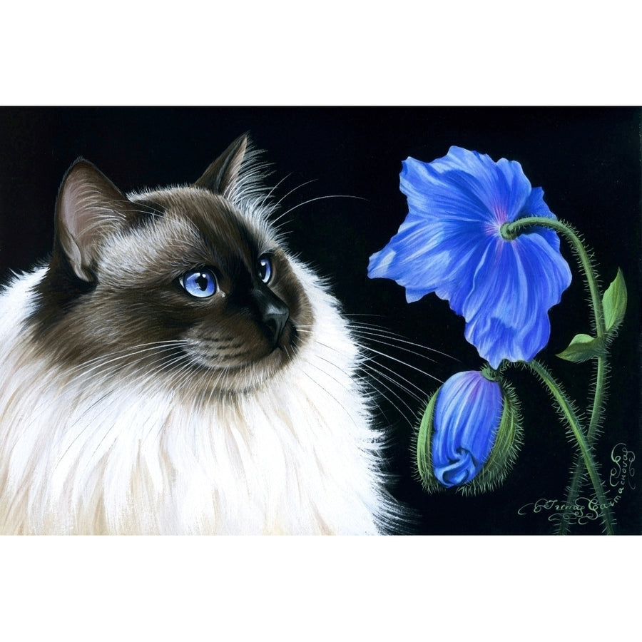 Blue Poppy Poster Print by Irina Garmaschova-Cawton Image 1