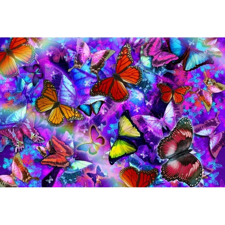 Dizzy Colored Butterfly Explosion Poster Print by Alixandra Mullins Image 2