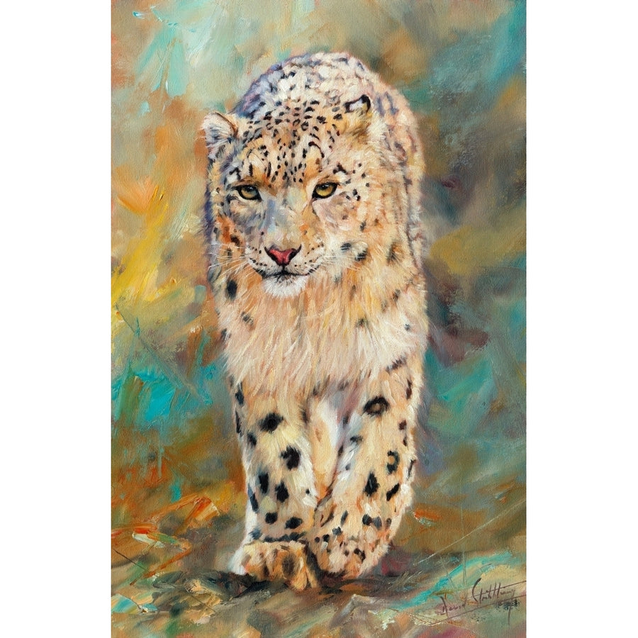 Snow Leopard Walking Poster Print by David Stribbling Image 1