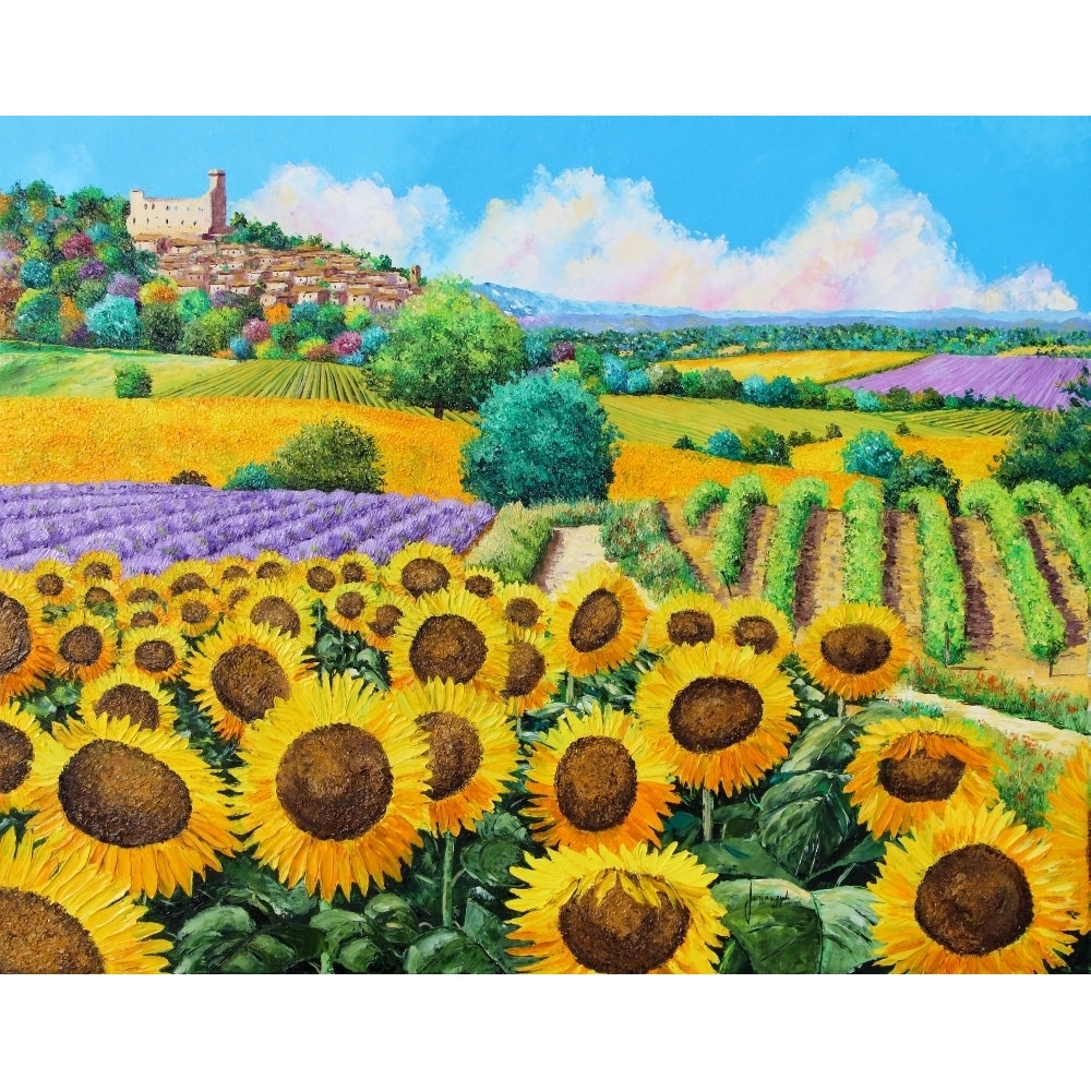 Vineyards and sunflowers in Provence Poster Print by Jean-Marc Janiaczyk Image 2