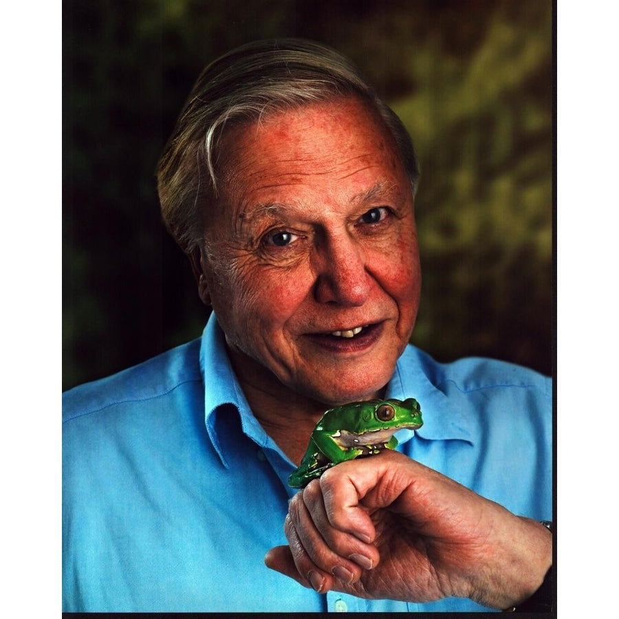 David Attenborough In Blue Shirt Holding Frog On Hand Photo Print - Item MVM01145 Image 1