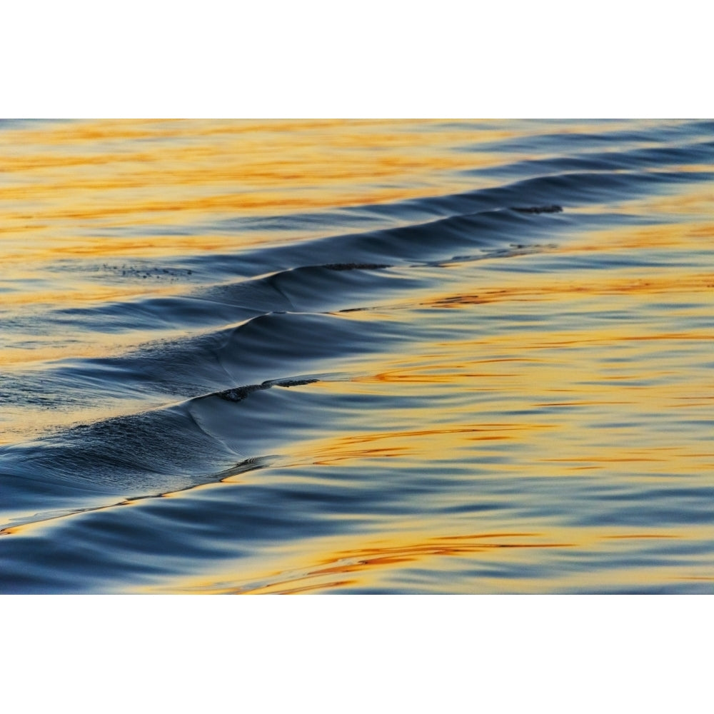 Water ripples Chobe River Chobe National Park. North-West District Botswana. Poster Print by Keren Su Image 1