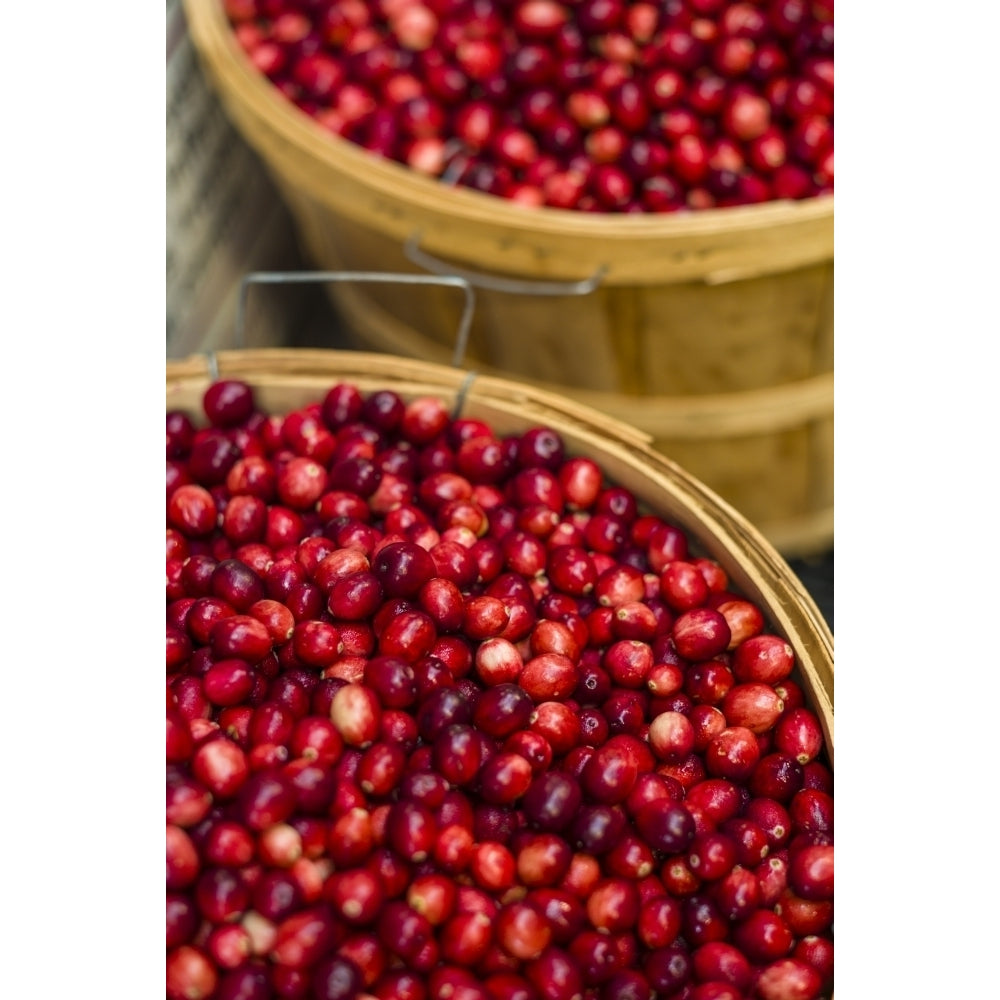 Canada Quebec Montreal. Little Italy Marche Jean Talon Market cranberries Poster Print by Walter Bibikow Image 1