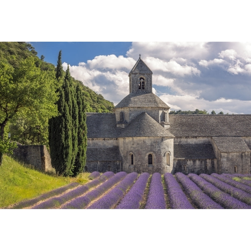 France Provence. Lavender field and Senanque Abbey. Poster Print by Jaynes Gallery Image 1