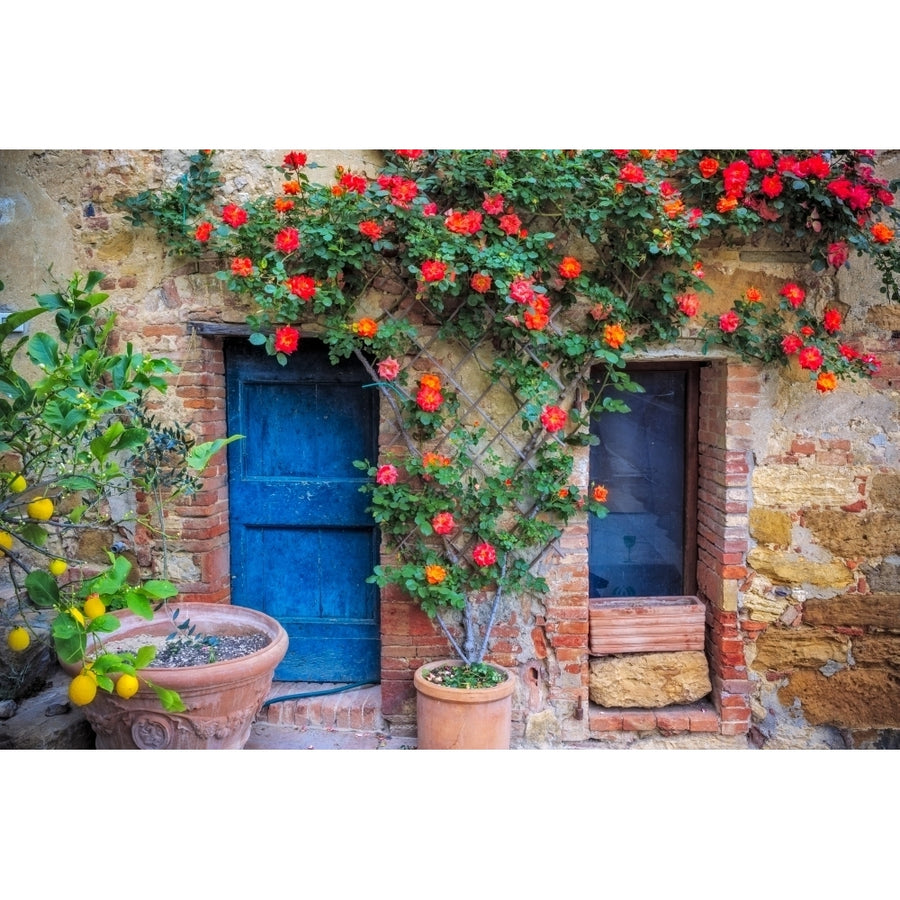 Italy Val d Orcia. two doors with vegetation Poster Print by Jaynes Gallery Image 1