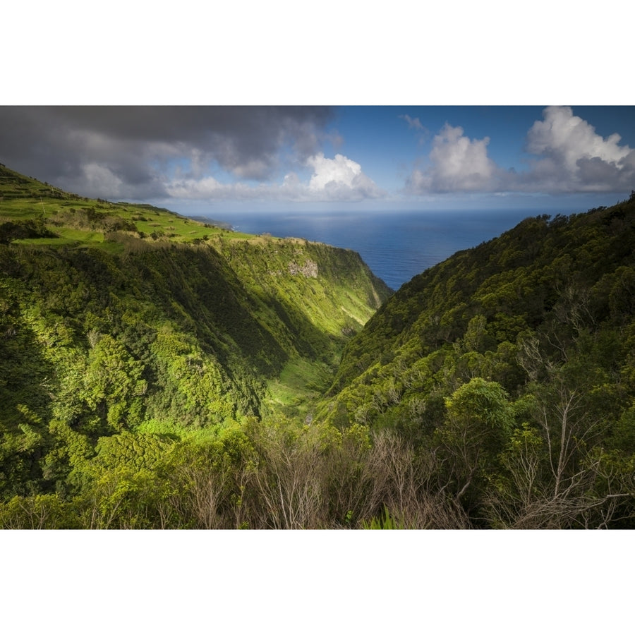 Portugal Azores Faial Island. Landscape from the Miradouro Ribeira Funda Poster Print by Walter Bibikow Image 1