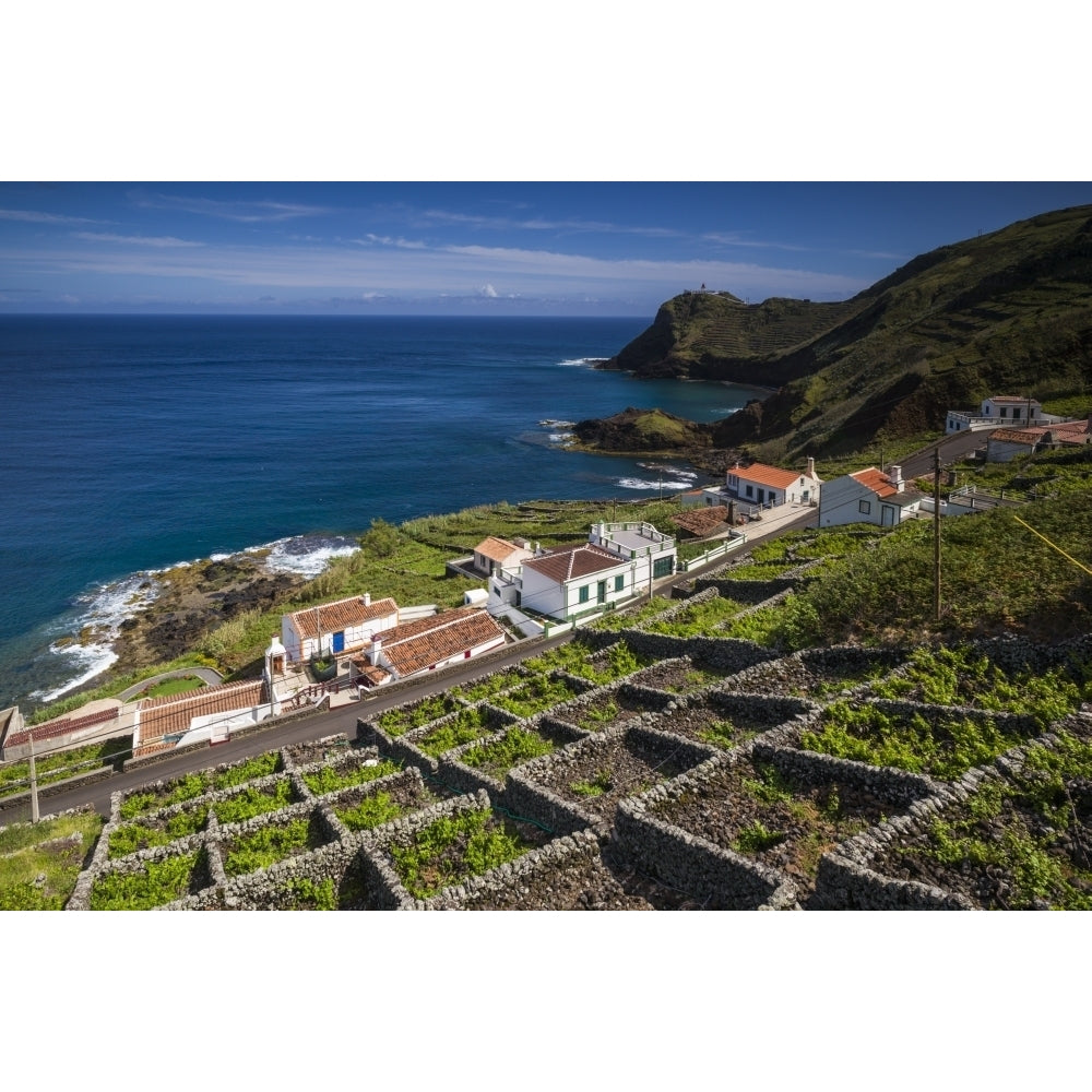 Portugal Azores Santa Maria Island Maia. Elevated view of town and volcanic rock vineyards Poster Print by Walter Image 1