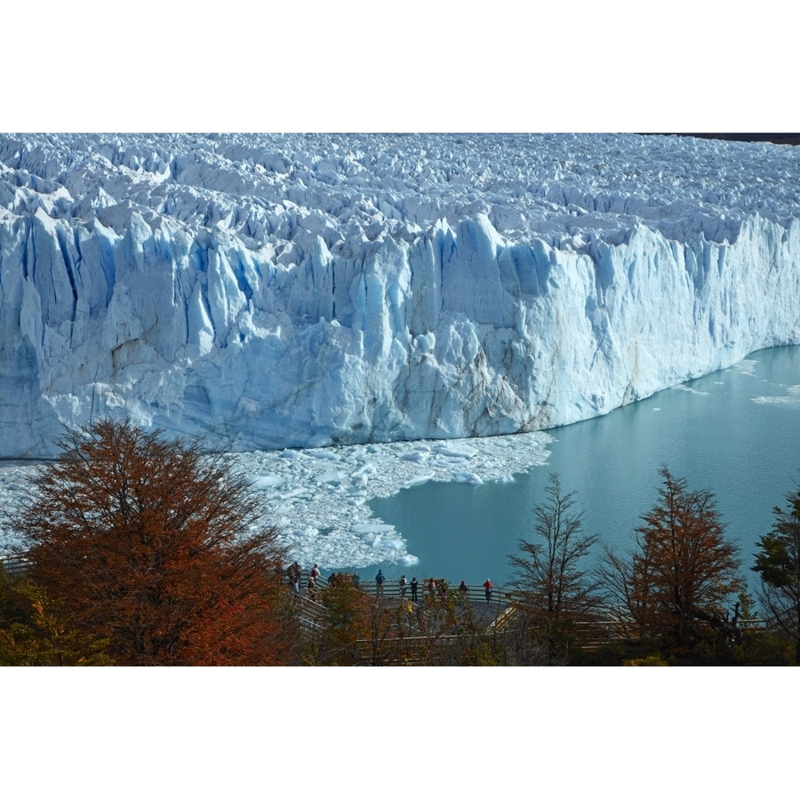 Perito Moreno Glacier lenga trees in autumn and tourists on walkway Patagonia Argentina Poster Print by David Wall Image 1