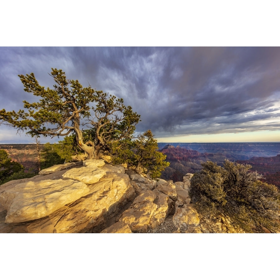 View from Bright Angel Point on the North Rim of Grand Canyon National Park Arizona USA Poster Print by Chuck Haney Image 1