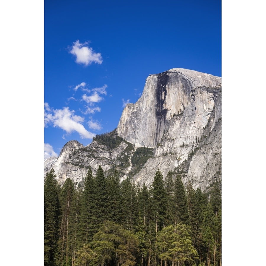 Half Dome Yosemite National Park California USA Poster Print by Russ Bishop Image 1