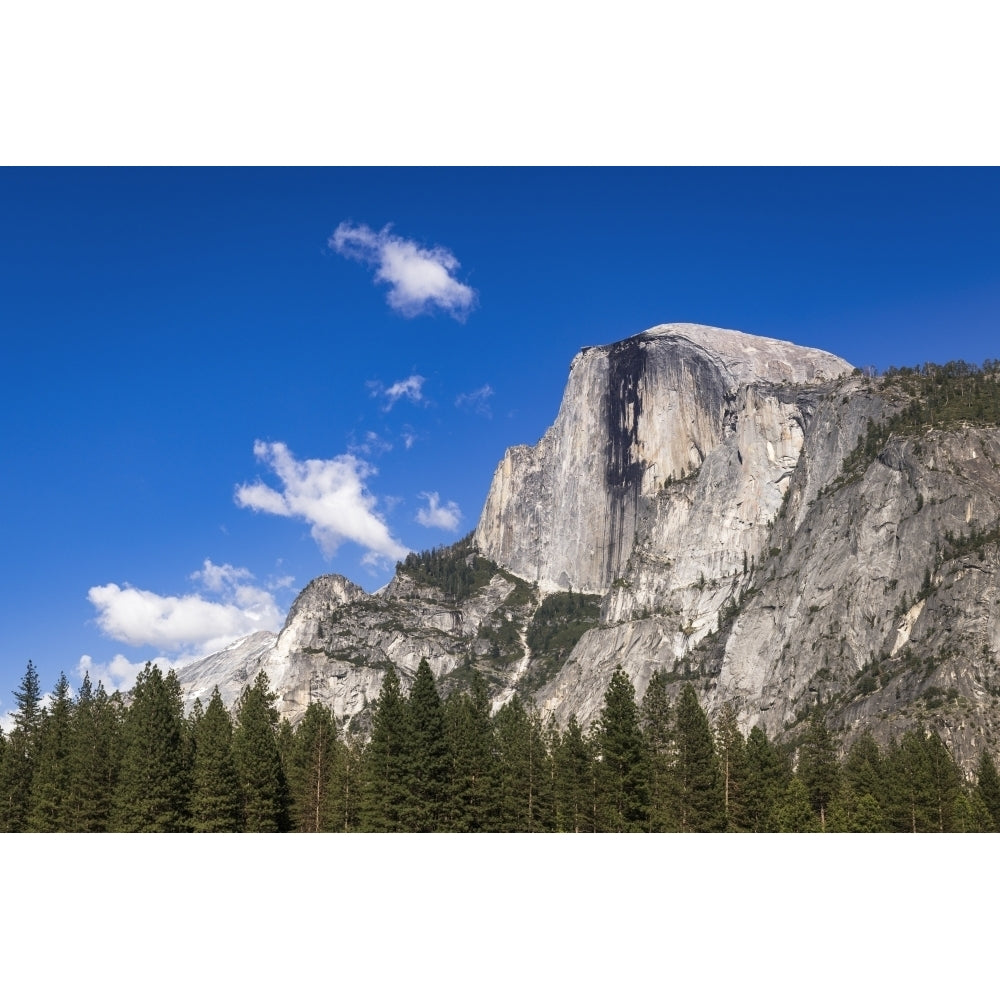 Half Dome Yosemite National Park California USA Poster Print by Russ Bishop Image 1