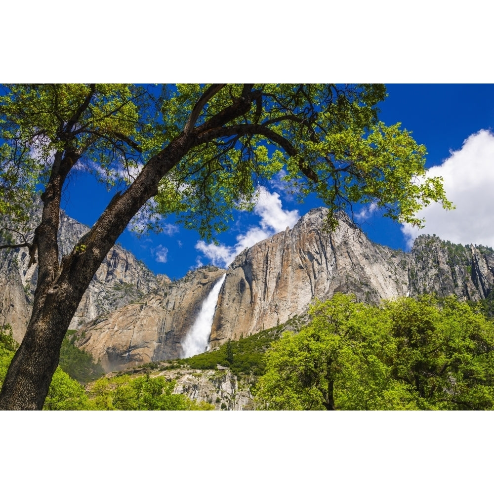 Yosemite Falls Yosemite National Park California USA. Poster Print by Russ Bishop Image 1